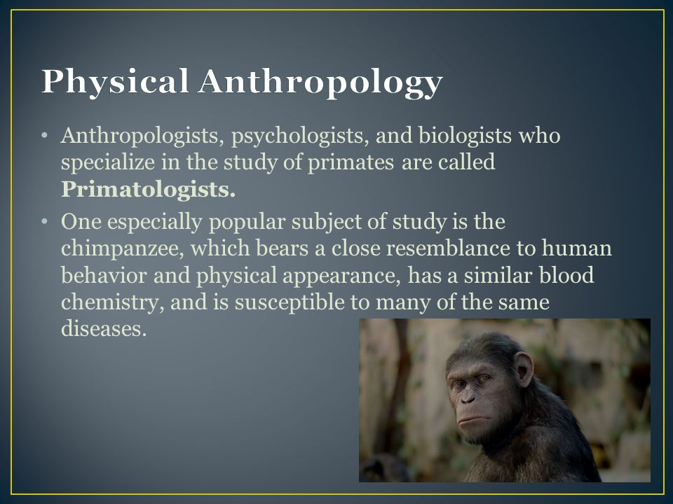 Biological anthropology analysis of the gorilla